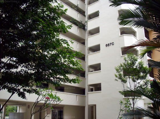 Blk 667C Jurong West Street 65 (Jurong West), HDB 5 Rooms #419722
